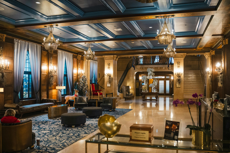 Hotels and hotel groups